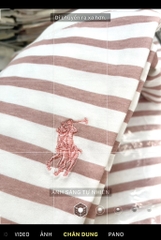 ÁO PHÔNG NỮ KẺ SỌC THÊU POLO 3M NEW(xả 48k)