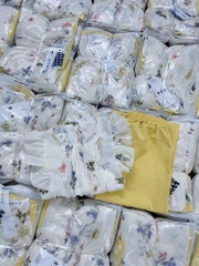 SET CÁNH TIÊN HOẠ TIẾT HOA LÁ CÀNH NỮ SẴN