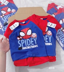 SET CỘC SPIDEY DƯƠNG ĐỎ BÉ TRAI SẴN (XẢ 39k)