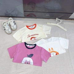 SET 3 ÁO PULL THỎ TONE BE TÍM TRẮNG BÉ GÁI SẴN
