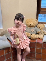 VÁY THÔ BÈO KÈM TÚI CÓI BÉ GÁI SẴN