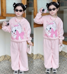 BỘ DÀI NỈ HAI DA MÈO MARIE HỒNG XÁM BÉ GÁI