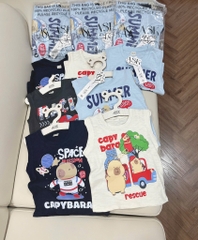 SET 4 ÁO CAPYPARA BÉ TRAI