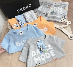 SET 3 ÁO CỘC BLUEY DƯƠNG XÁM CAM BÉ TRAI (XẢ 69k)