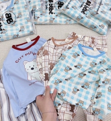 SET 3 BỘ DÀI GẤU HÀN BÉ TRAI HÀN QUỐC SẴN