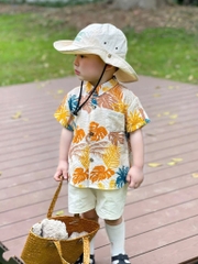 SET CÂY DỪA VÀNG BE BÉ TRAI