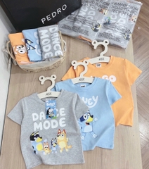 SET 3 ÁO CỘC BLUEY DƯƠNG XÁM CAM BÉ TRAI (XẢ 69k)