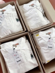 ÁO POLO THÊU GẤU SPAO KOREA NỮ SẴN (sale 115k)