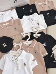 SET 3 ÁO POLO CỔ ĐỨC TRẮNG NÂU ĐEN BÉ TRAI SẴN (sale 97k)