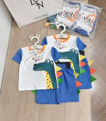 SET BỘ KHỦNG LONG PHỐI BÉ TRAI (XẢ 39k)