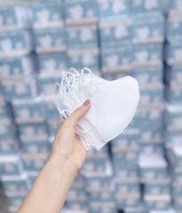 ĐỒ GIA DỤNG 3 HỘP K.T LOKA 5D MIX MÀU