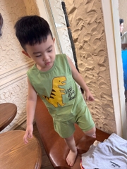 SÉT 3 BỘ BA LỖ KHỦNG LONG BÉ TRAI