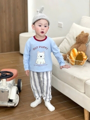 SET 3 BỘ DÀI GẤU HÀN BÉ TRAI HÀN QUỐC SẴN