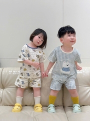SET 2 BỘ KẺ XANH + BỘ ĐỘNG VẬT BÉ TRAI BÉ GÁI
