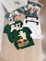 SET BỘ ÁO THUN XANH LÁ ÔTÔ QUẦN ĐÙI TRẮNG BÉ TRAI SẴN( xả 50k)