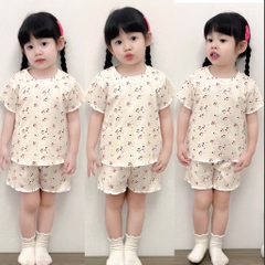 SET 3 BỘ HOA NHÍ HỒNG XANH TRẮNG BÉ GÁI(XẢ 139k)