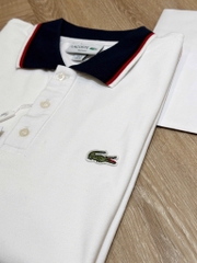 ÁO POLO LACCOST PHỐI CỔ THAN NAM