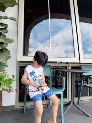 SET 3 BỘ BA LỖ CÂY DỪA BÉ TRAI XẢ 85k)