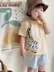 SET 3 ÁO NGỰA VẰN CHO BÉ TRAI SẴN