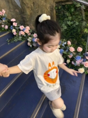 SET 3 ÁO PULL THỎ TONE BE TÍM TRẮNG BÉ GÁI SẴN