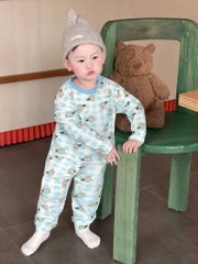 SET 3 BỘ DÀI GẤU HÀN BÉ TRAI HÀN QUỐC SẴN
