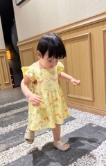 SET 2 VÁY BƯỚM HOA CÁNH TIÊN BÉ GÁI SẴN