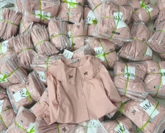 ÁO SƠ MI HỒNG CỔ THÊU HOA NỮ SẴN (SALE 75k)