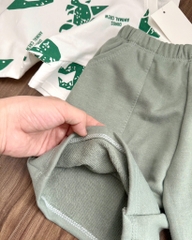 SET KHỦNG LONG XANH LÁ BÉ TRAI