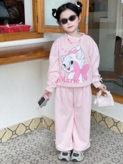 BỘ DÀI NỈ HAI DA MÈO MARIE HỒNG XÁM BÉ GÁI