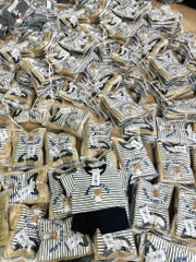 SET ÁO KẺ QUẦN ĐÙI BÉ TRAI
