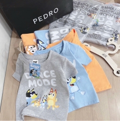 SET 3 ÁO CỘC BLUEY DƯƠNG XÁM CAM BÉ TRAI (XẢ 69k)