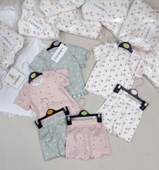 SET 3 BỘ HOA NHÍ HỒNG XANH TRẮNG BÉ GÁI(XẢ 139k)