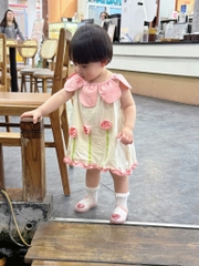VÁY SUÔNG ĐŨI HOA HỒNG BÉ GÁI (XẢ 57k)