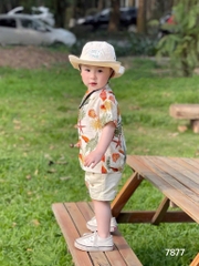 SET HOA LÁ CÀNH BÉ TRAI SẴN (SALE 68k)