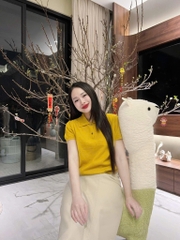 ÁO LEN POLO VÀNG CỘC TAY NỮ