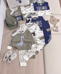 SET 3 BỘ DÀI TAY KHỦNG LONG TONE BE RÊU XANH THAN BÉ TRAI