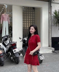 VÁY LEN NỮ THÊU NGỰA KÈM QUẦN LÓT TRONG THU ĐÔNG SẴN
