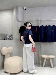 ÁO PHÔNG TEE CỘC TAY 2 MÀU NỮ