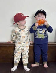 SET 3 BỘ DÀI TAY KHỦNG LONG TONE BE RÊU XANH THAN BÉ TRAI