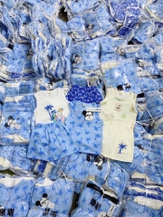 SET 3 BỘ BA LỖ CÂY DỪA BÉ TRAI XẢ 85k)