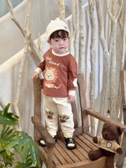 SET 2 BỘ ĐÁP TAY CHÂN ANIMALS