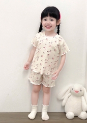 SET 3 BỘ HOA NHÍ HỒNG XANH TRẮNG BÉ GÁI(XẢ 139k)