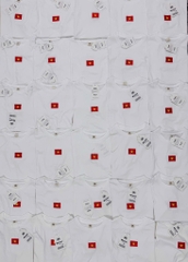 ÁO PHÔNG LOGO CỜ VN CHO BÉ TRAI GÁI