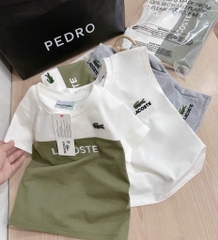 SET 3 CHI TIẾT BÉ TRAI TONE RÊU XÁM SẴN (SALE 95k)