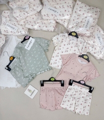 SET 3 BỘ HOA NHÍ HỒNG XANH TRẮNG BÉ GÁI(XẢ 139k)