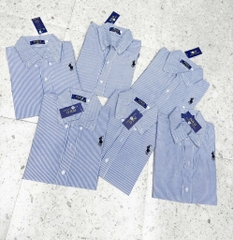 SƠ MI CỘC TAY POLO NGỰA HÓT XANH NỮ SẴN(SALE 80k)