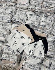 SÉT 3 BỘ COTTON CO GIÃN CÂY DỪA CHO BÉ TRAI (XẢ 119k)