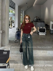 SET 3 ÁO ZIP CỔ TRÒN THÊU NGỰA NỮ ĐEN TRẮNG ĐỎ RƯỢU NEW 2025