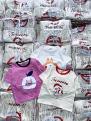 SET 3 ÁO PULL THỎ TONE BE TÍM TRẮNG BÉ GÁI SẴN
