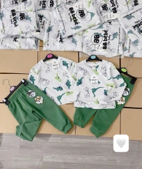 SÉT ÁO CHÓ CỨU HỘ KHỦNG LONG GHI MIX QUẦN XANH LÁ CHO BÉ YÊU
